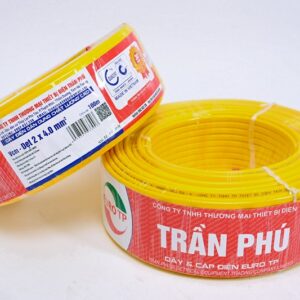 Dây ruột mềm ovan 2x4 -1